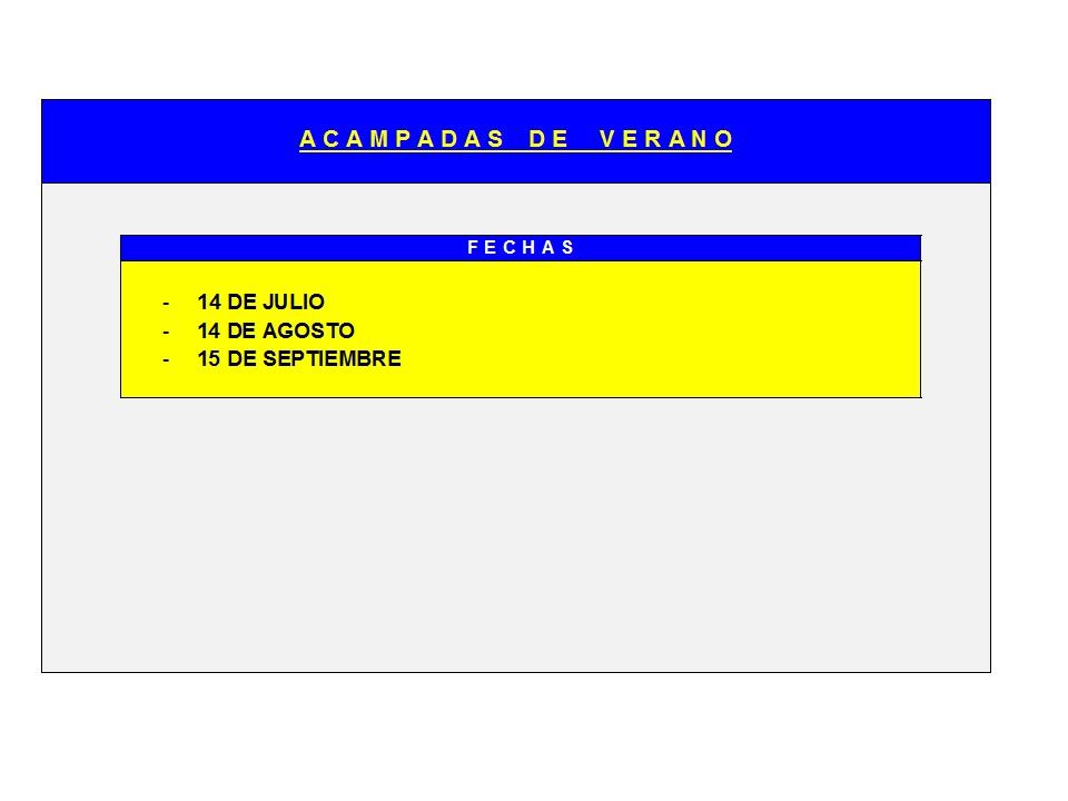 Diapositiva19