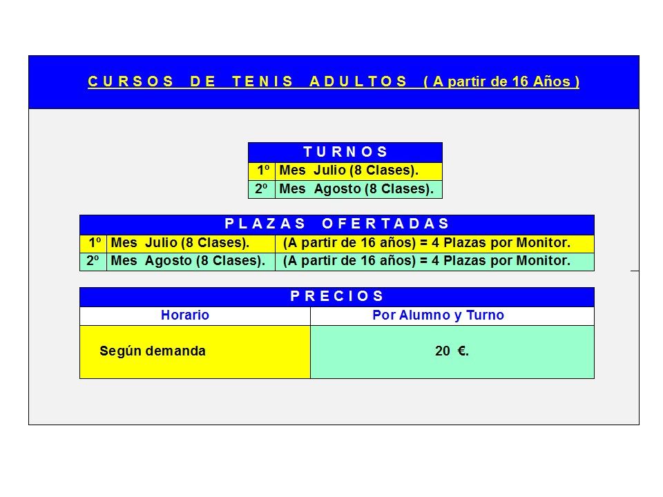 Diapositiva6
