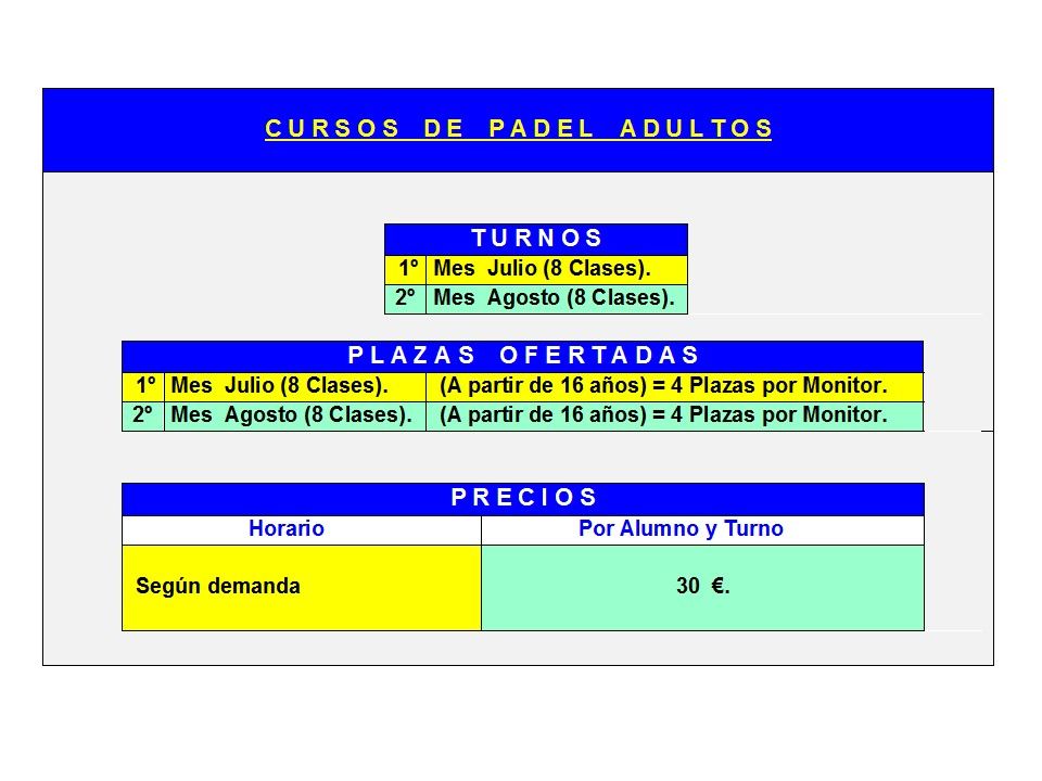 Diapositiva8